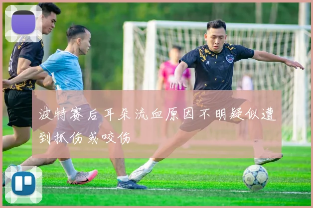 波特赛后耳朵流血原因不明疑似遭到抓伤或咬伤
